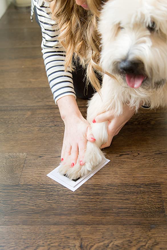 Paw Print Stamp Pads Members Area
